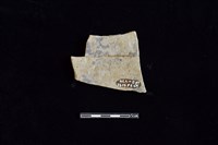 陶片藏品圖，第2張